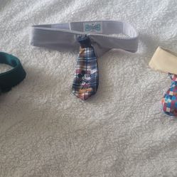 Disney Dog Collars - Set Of 3