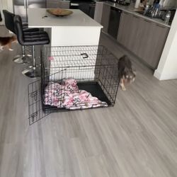 Dog Crate 