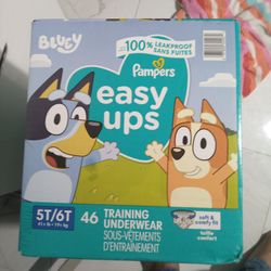 Pampers Easy Ups   5t/6t.   Sealed In The Box 