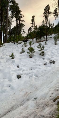 Are you interested in losing weight?