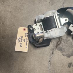 Seat Belt 09 IS 250