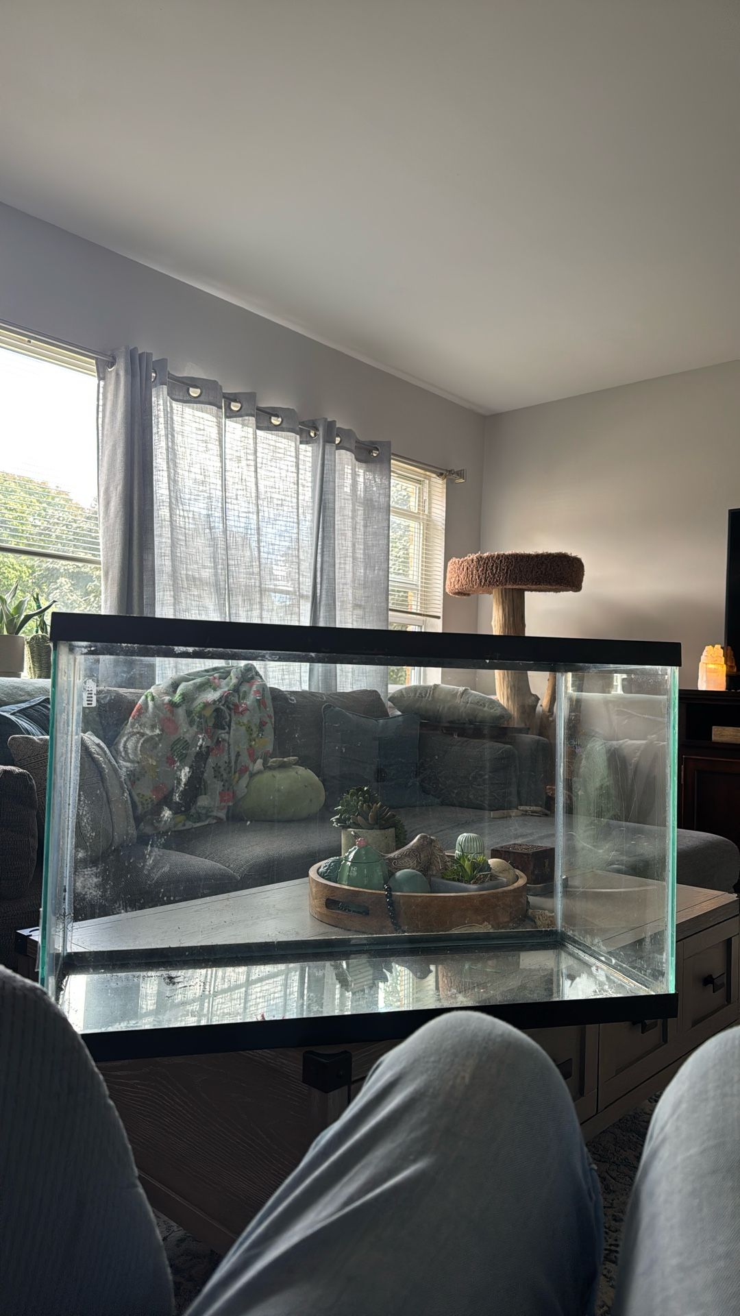 29 Gallons Tank 