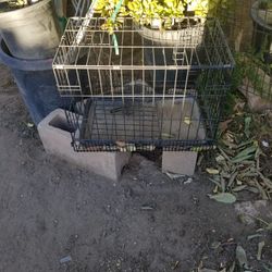 Small Dog Crate