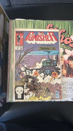 The Punisher 24