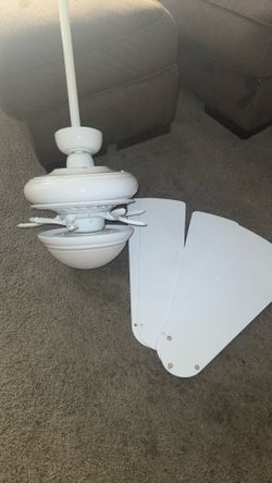 Celling Fan