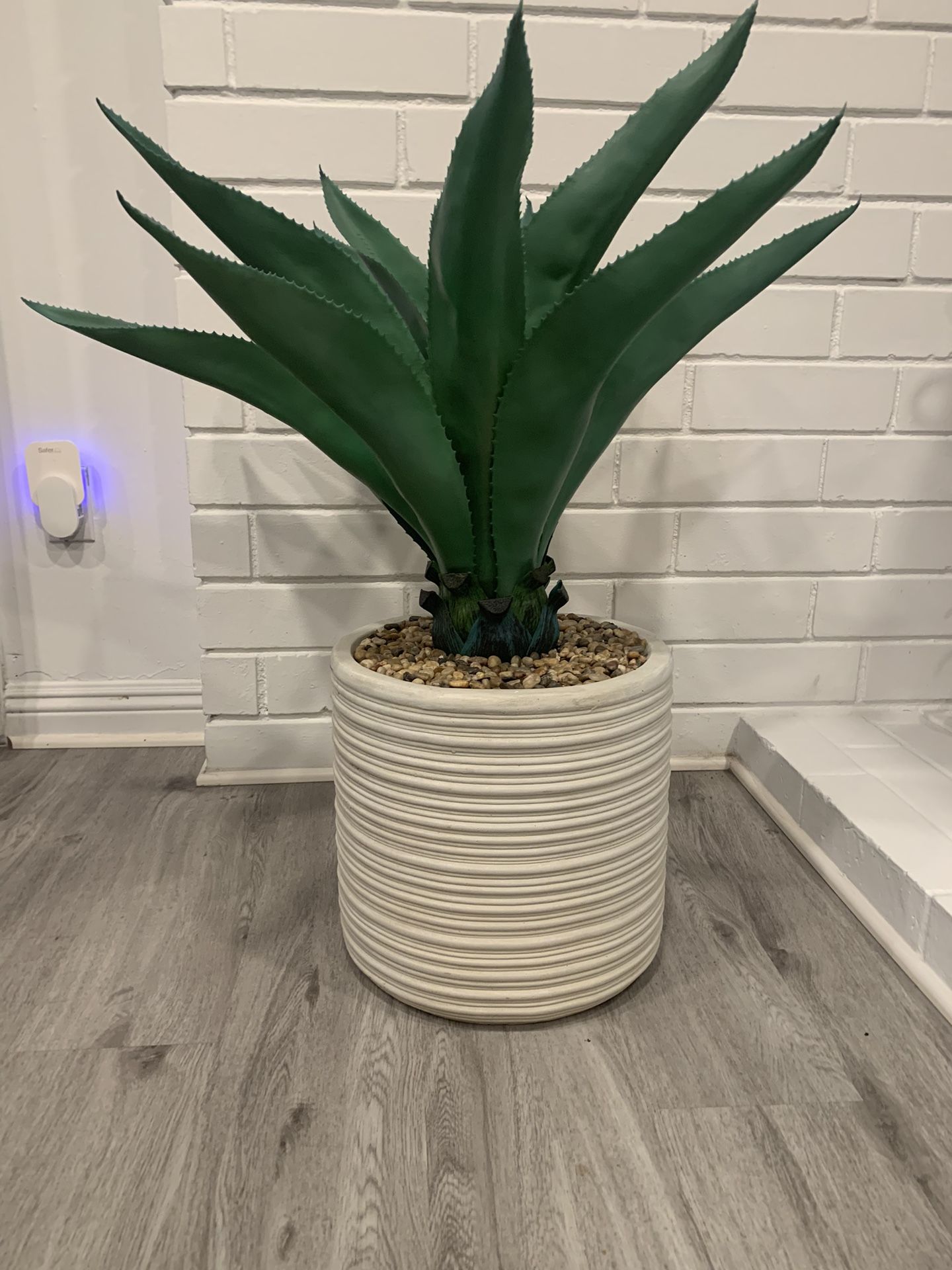 Fake Agave Plant