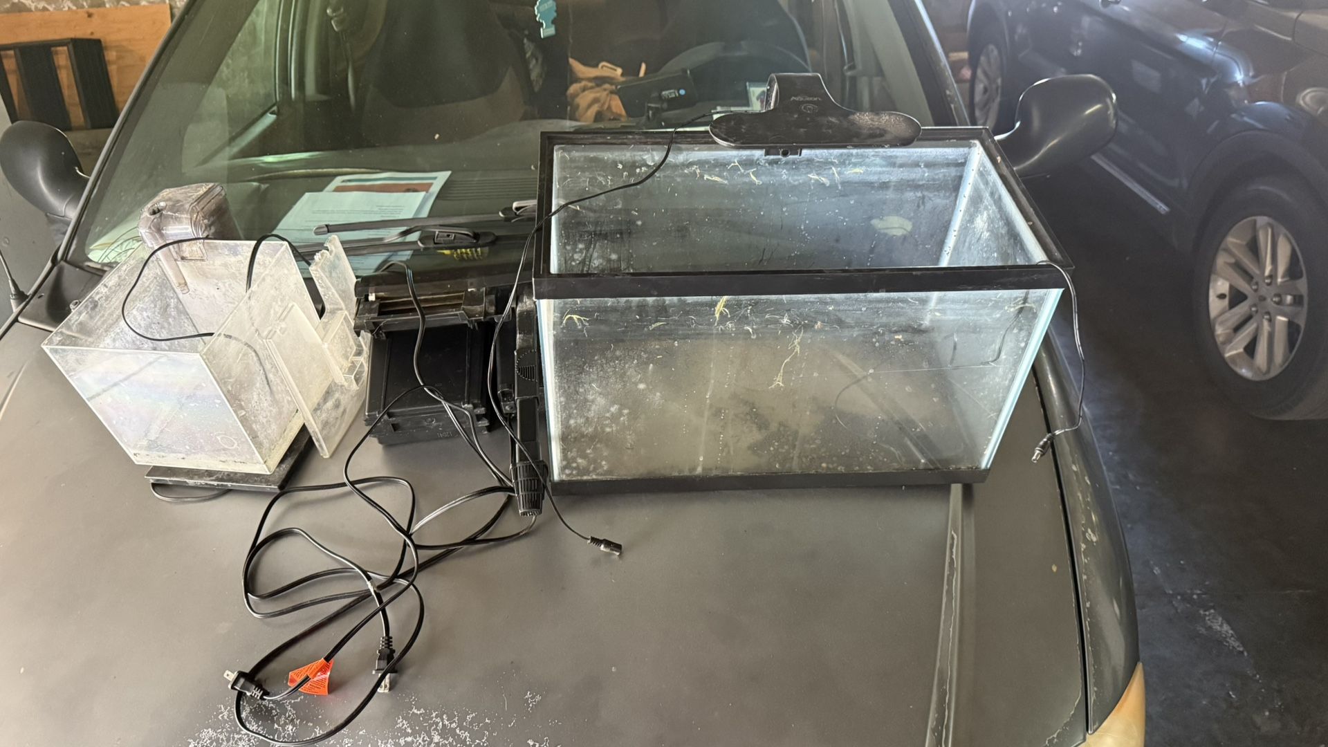 Aquarium Items
