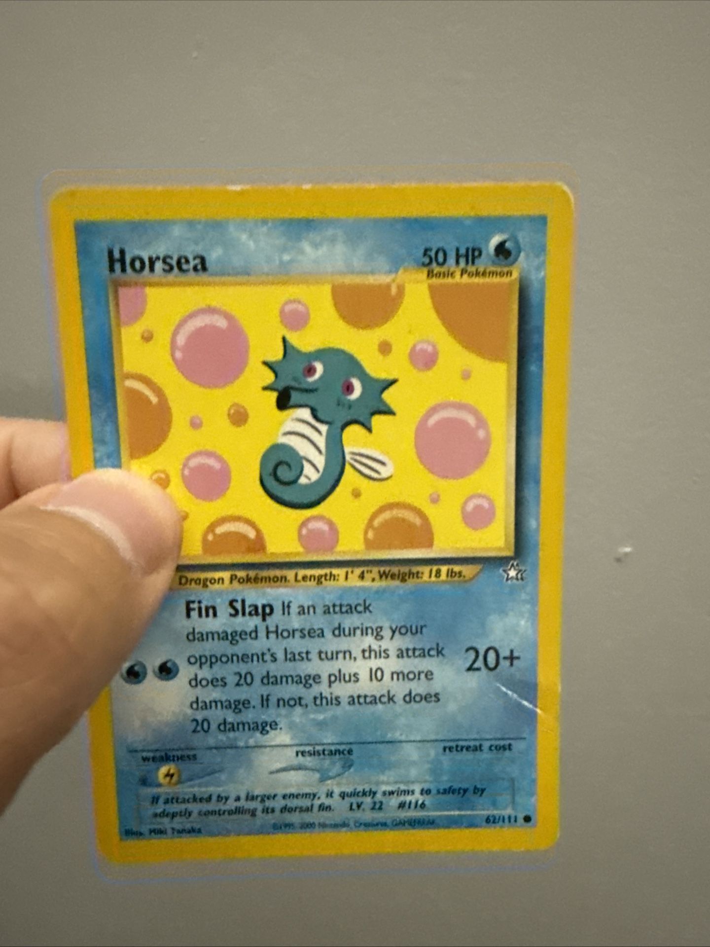 Pokemon (Horsea) Card