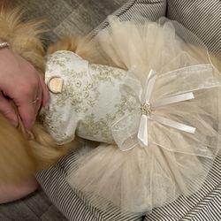 Dress for dog . L Size 