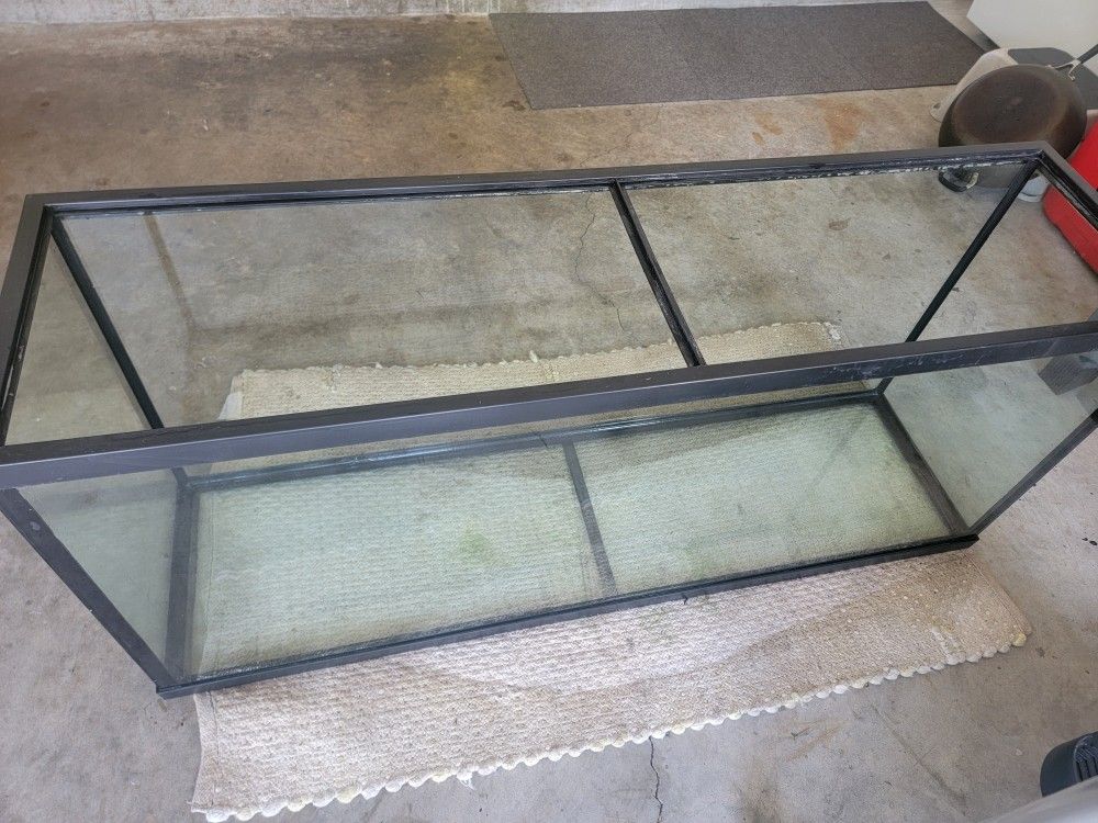 55 gallon fish tank