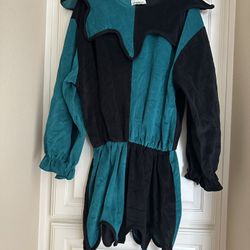 Green And Black Jester Costume