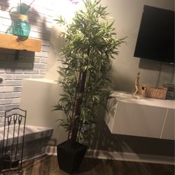 Bamboo artificial Plant 78”tall from Home Goods 