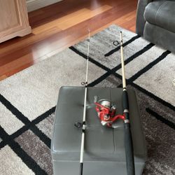 8 ft. Berkeley Big Game Rod,and Berkeley Fusion Reel.