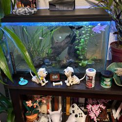 10 Gallon Aquarium 