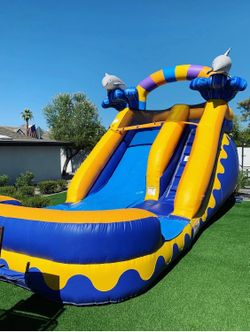 15’ Dolphin Splash