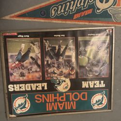 Dolphins Memorabilia 