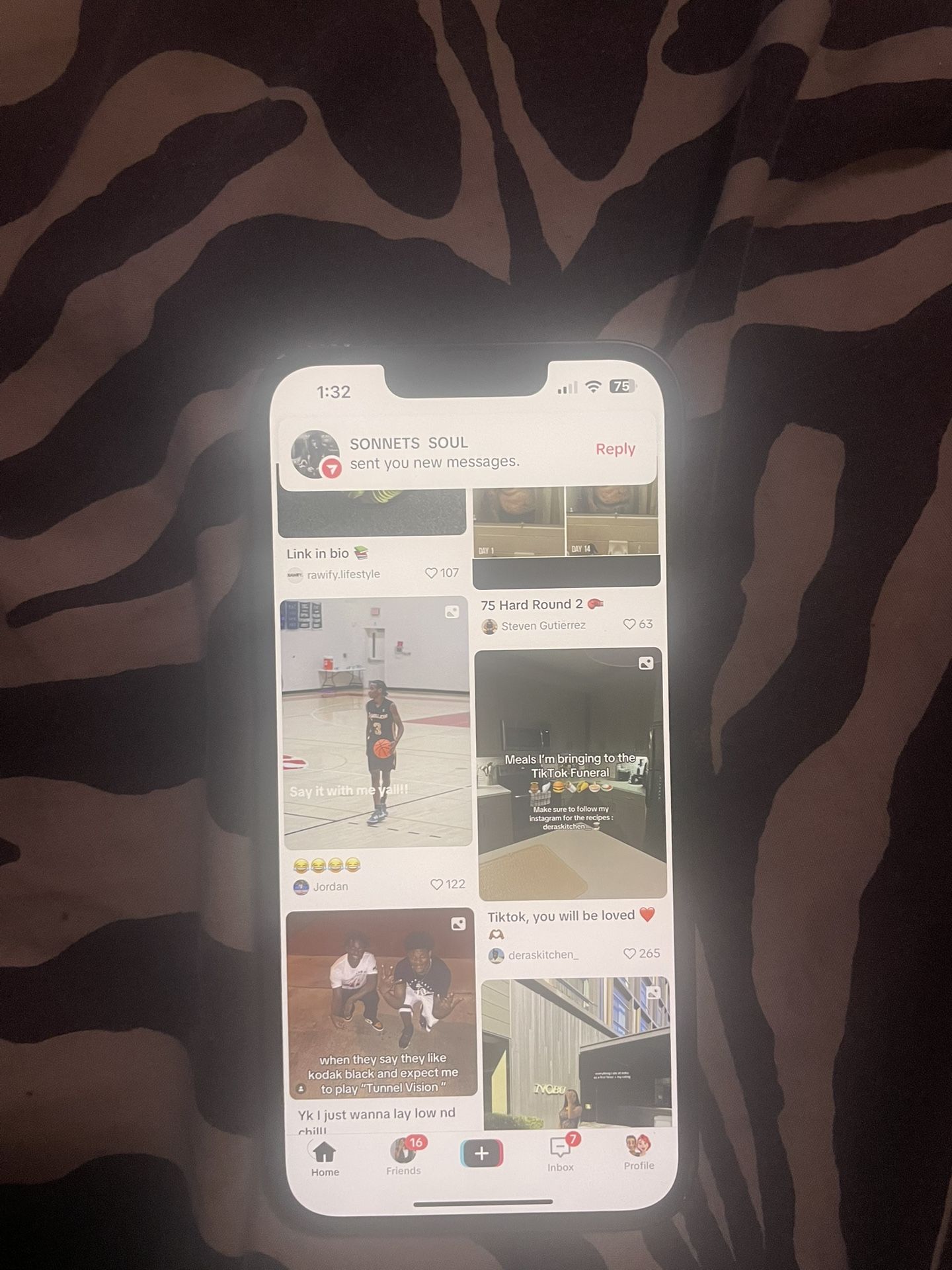 iPhone 13 WITH TIKTOK installed!