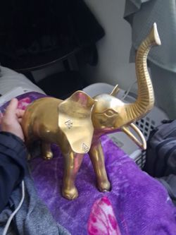 Gold Elephant