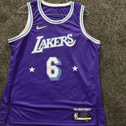Official NBA Lakers Jersey (LeBron James) Men’s X-Large