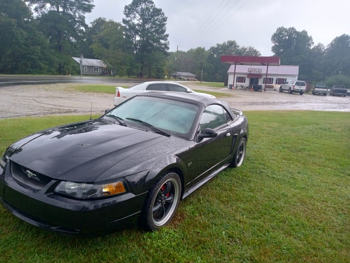 2000 Ford Mustang