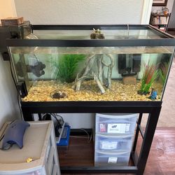 Aquarium 40 Gallon 