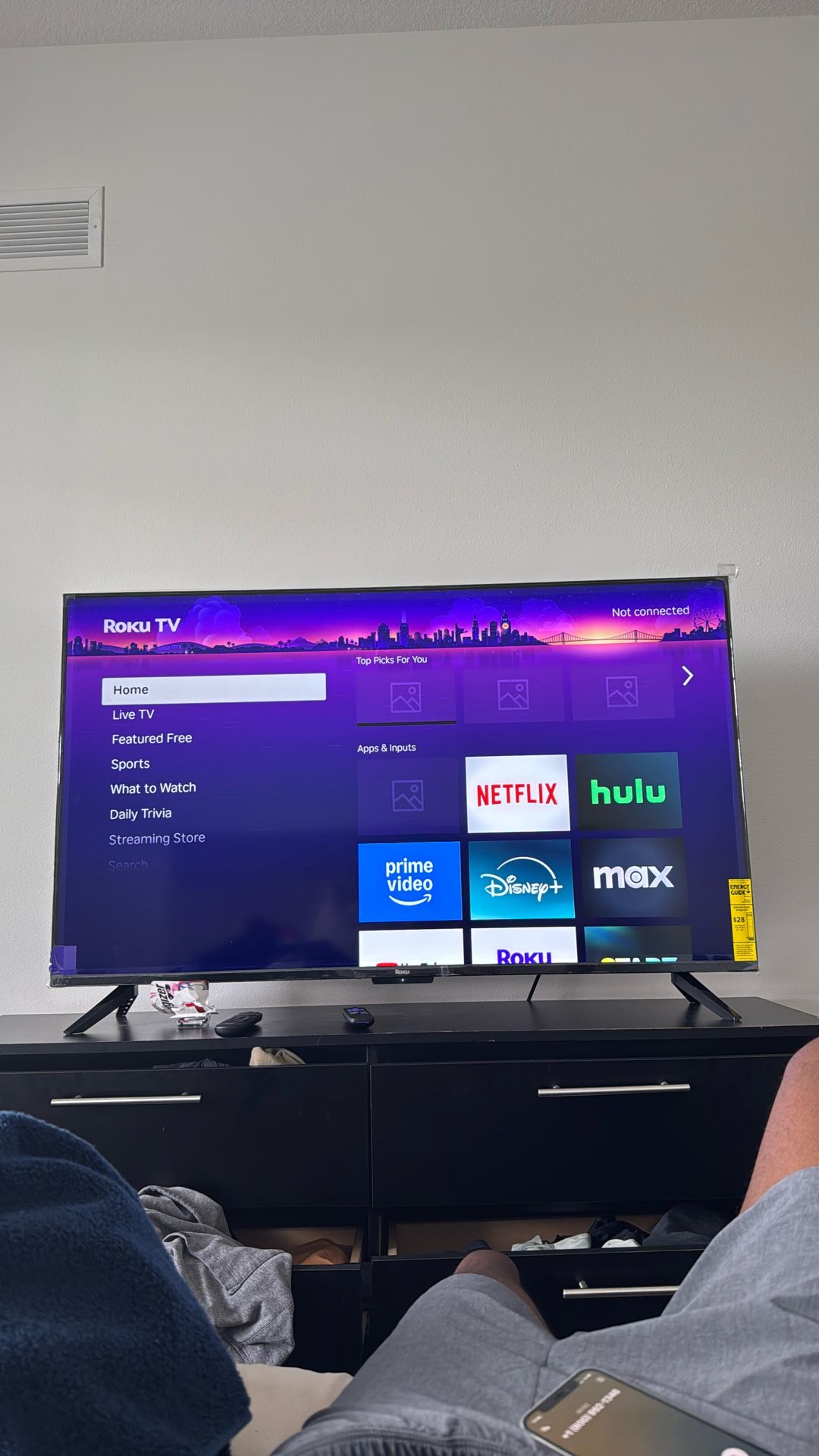 Roku TV (55 Inch)