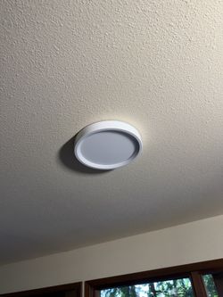 lights