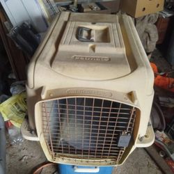 Petmate Cat Dog Carrier Pet Taxi Kennel