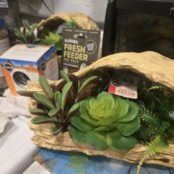 Almost Complete Setup For Reptile Enclosure