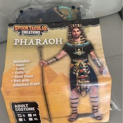 Halloween Costume