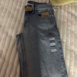 Brand new never worn LEVIS Low rise light blue 24x32