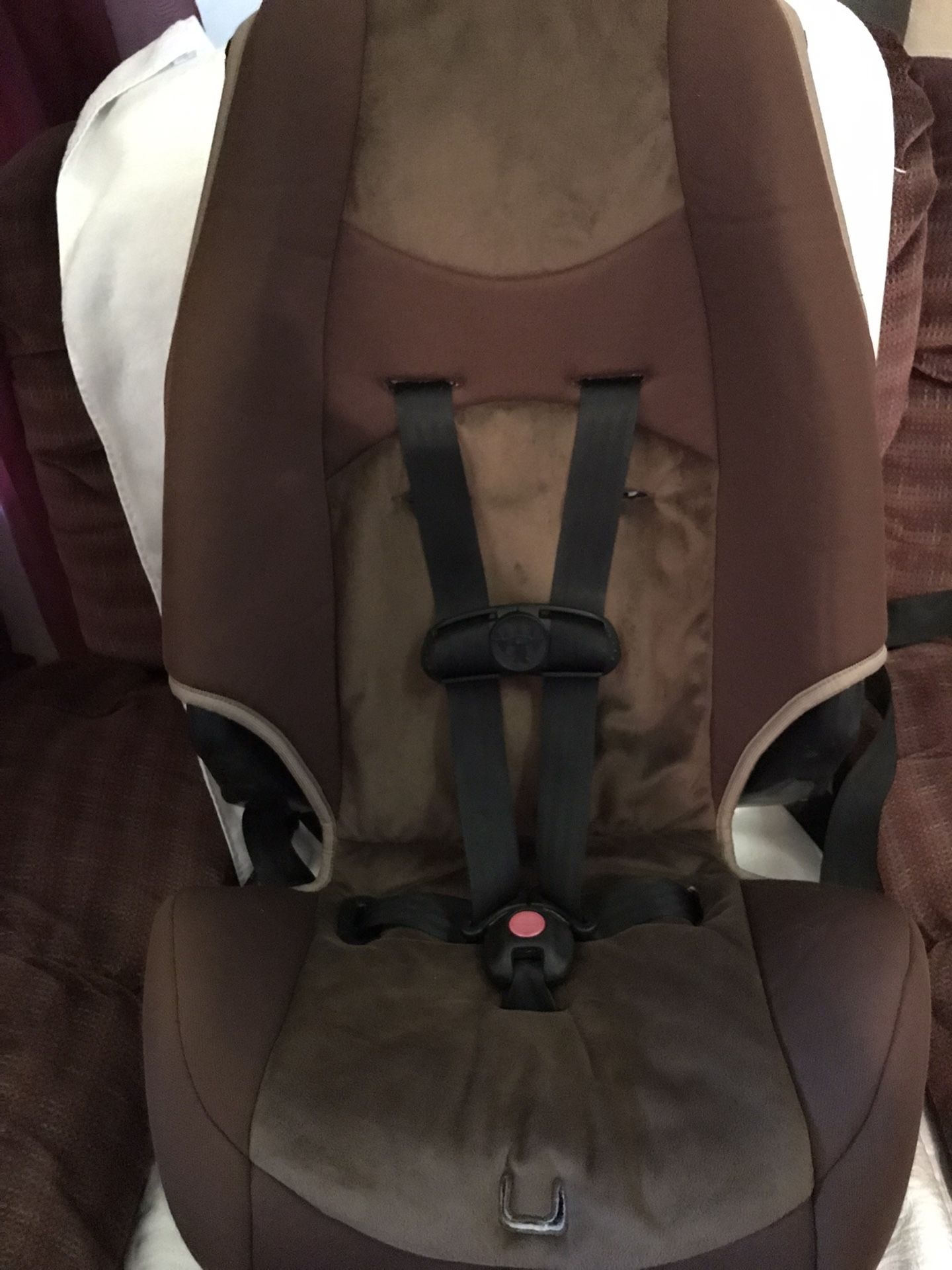 Child’s Car Seat