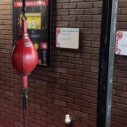 Double Ended Boxing Bag Set-up