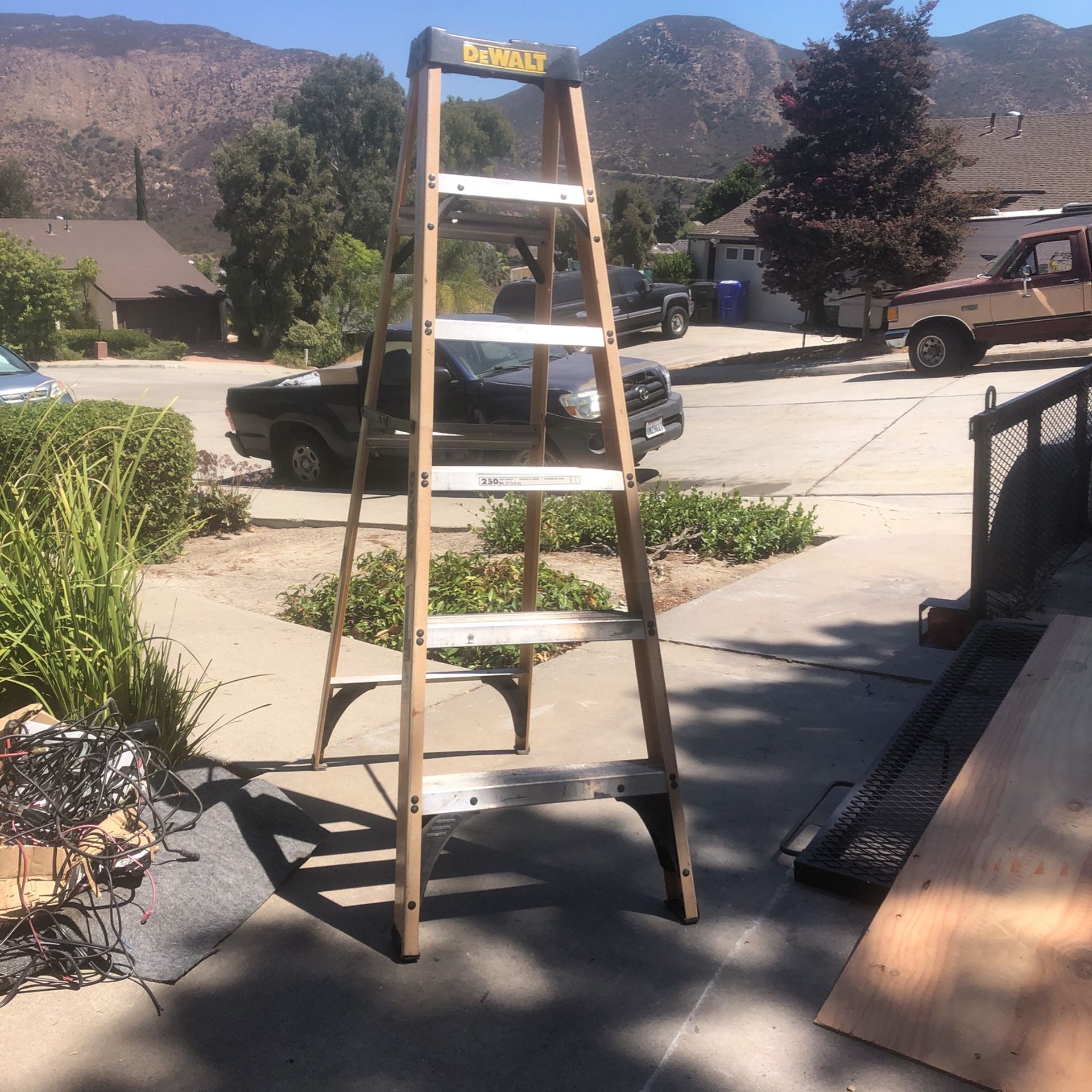 DeWalt Ladder