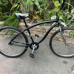 29er Aluminum Beach Cruiser