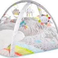 Skip Hop Baby Activity Play Gym