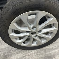Tire