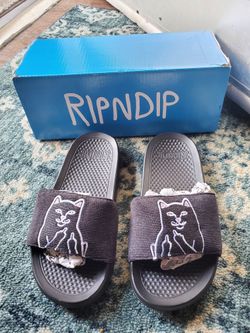 RIPNDIP Slide