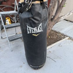Punching Bag 80lbs