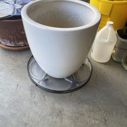 Plants Pots With Trays; $30 Each