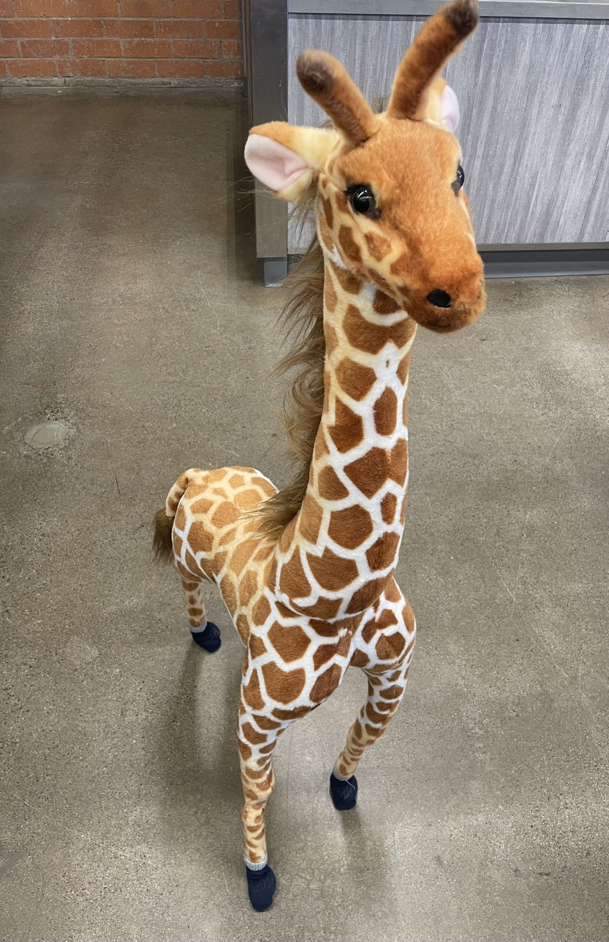 Giant stuffed Giraffe 