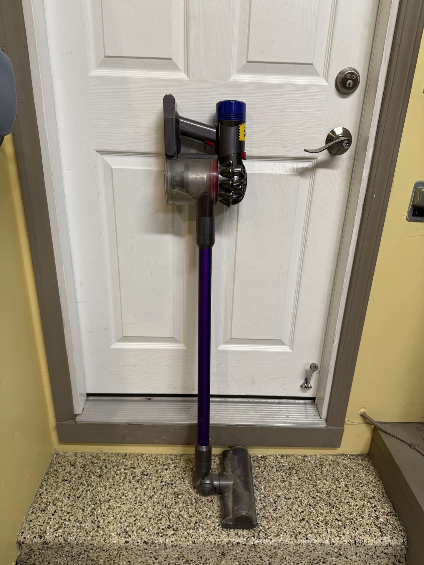 Dyson cordless V8 Animal+