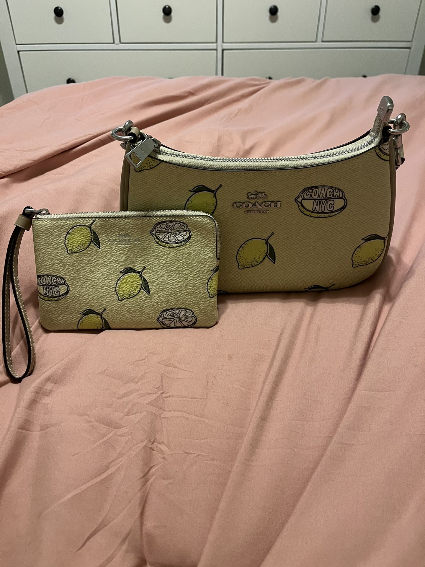 Coach Bag And Wallet