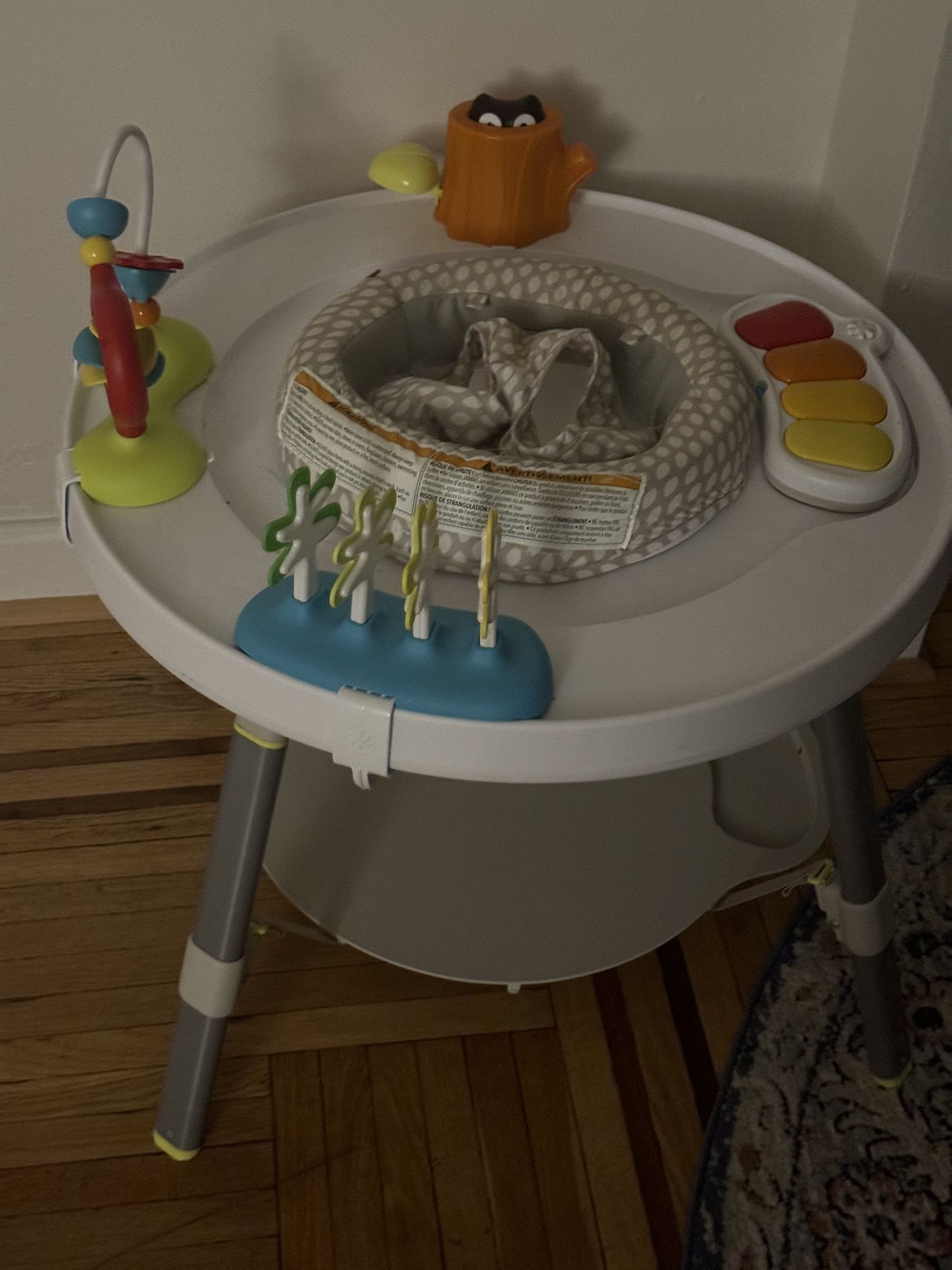 Baby Activity Canter Skip Hop