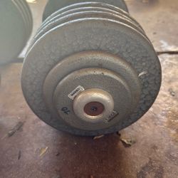 Ivanko 70 Pound Each Dumbbells