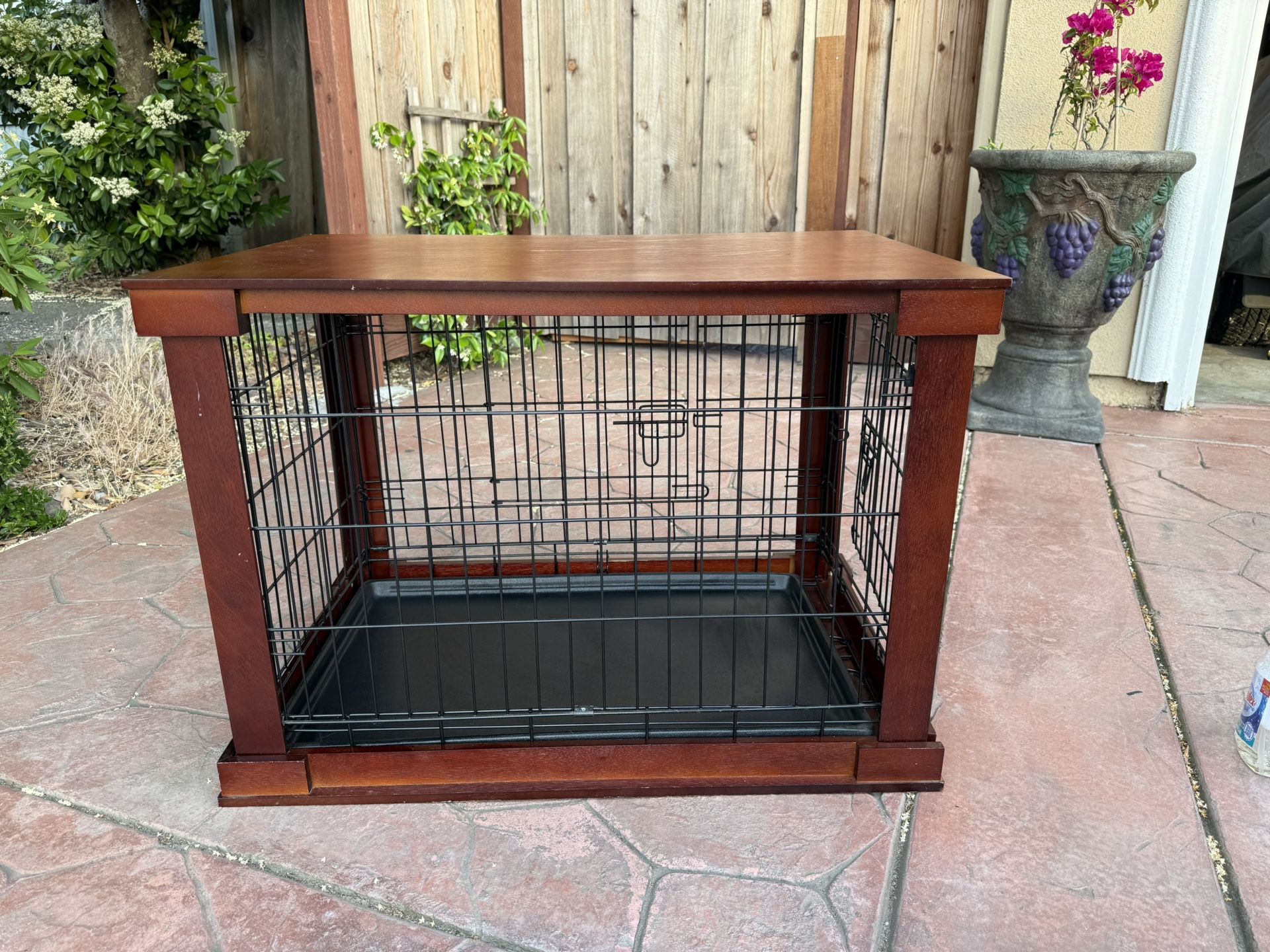 Dog House 