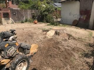 Stump Grinding