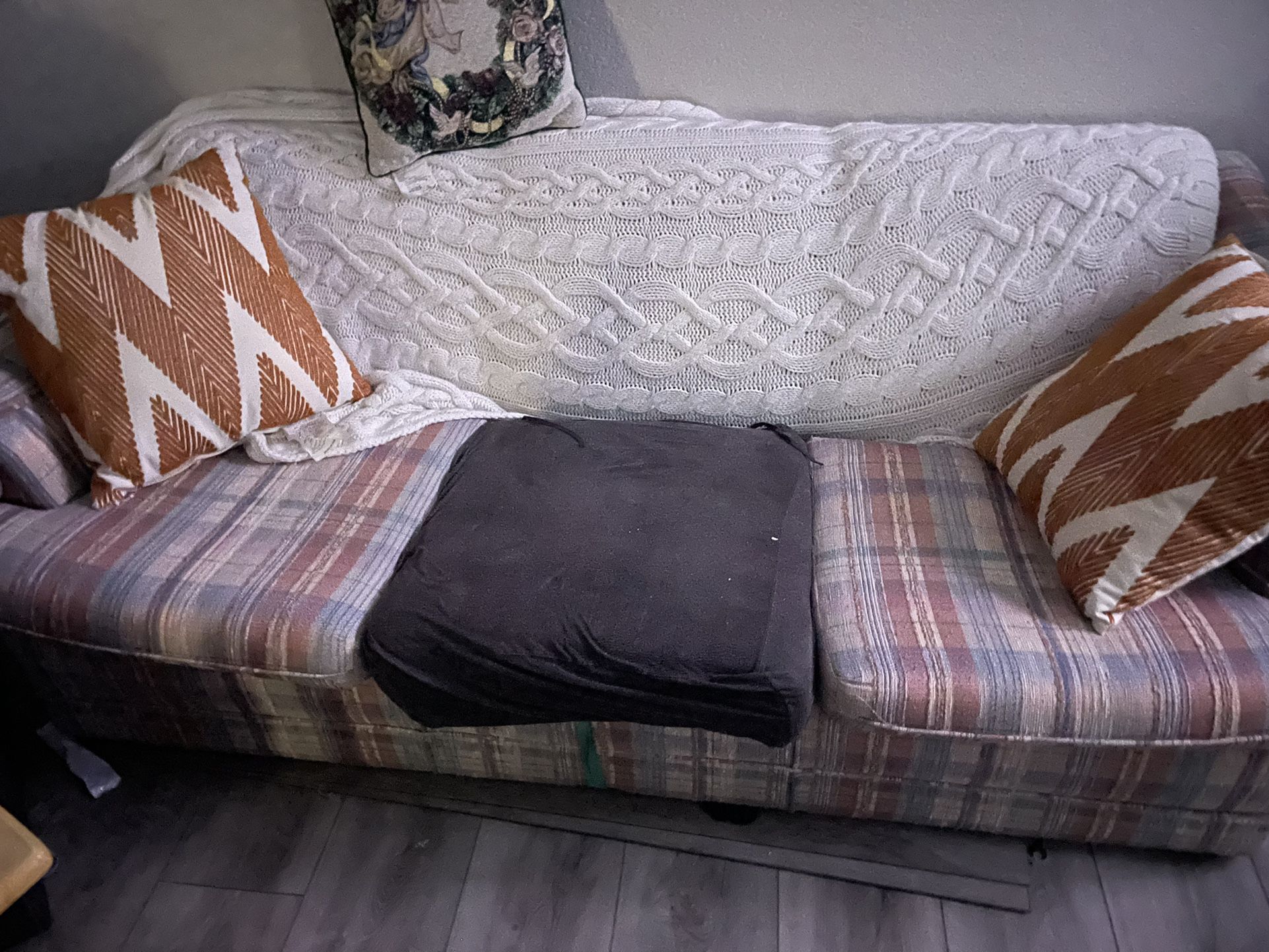 Sofa Sleeper And Matching Love Seat 