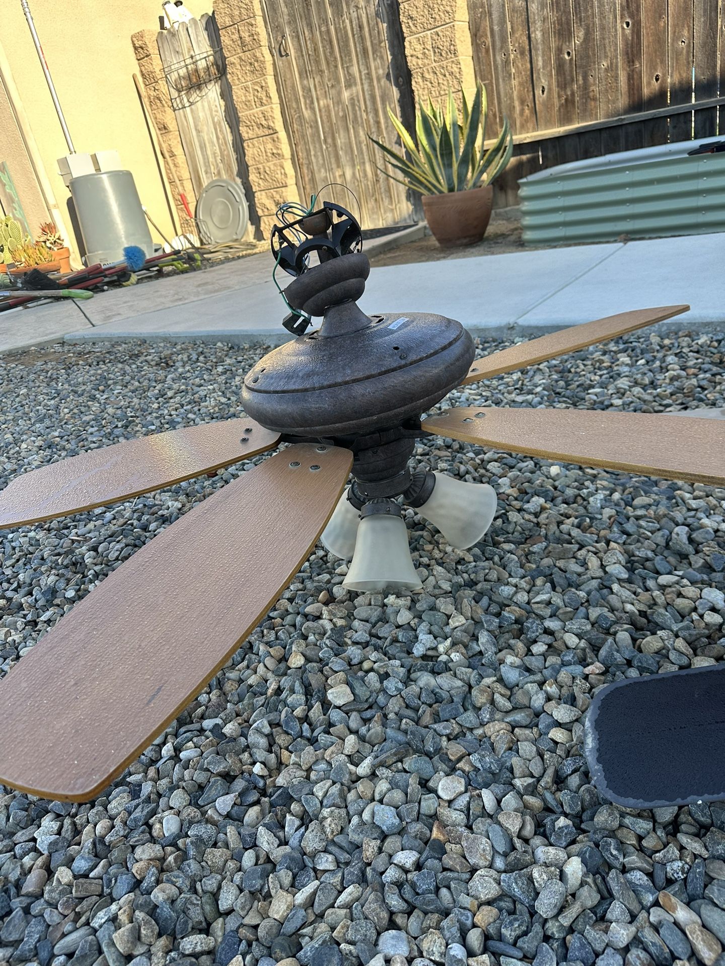 Ceiling Fans