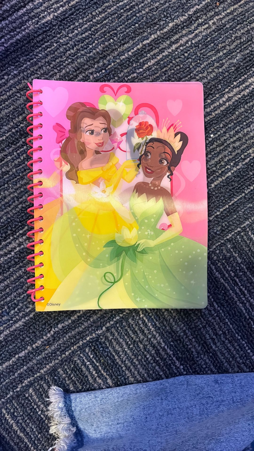 3-D Princess Book